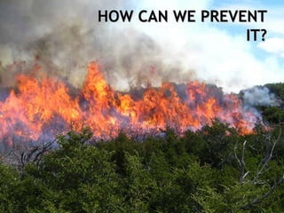 HOW CAN WE PREVENT
                IT?
 