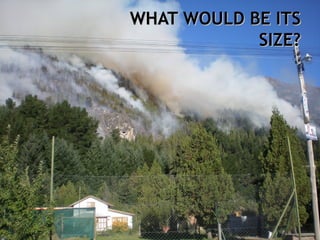 WHAT WOULD BE ITS
            SIZE?
 