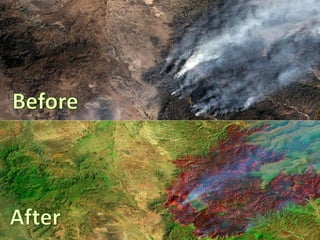 Incendioos forestales