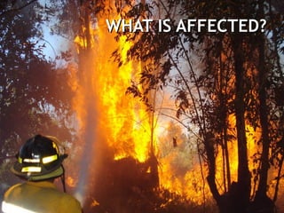 WHAT IS AFFECTED?
 