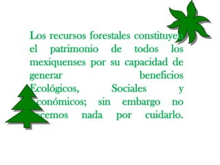 Los recursos forestales constituyen el patrimonio de todos los mexiquenses por su capacidad de generar beneficios Ecológicos, Sociales y Económicos; sin embargo no hacemos nada por cuidarlo.,[object Object]