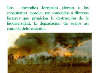 Los  incendios forestales afectan a los ecosistemas  porque son sometidos a diversos factores que propician la destrucción de la biodiversidad, la degradación de suelos así como la deforestación.,[object Object]