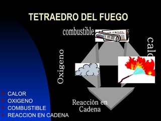 T ETRAEDRO  DEL FUEGO CALOR OXIGENO COMBUSTIBLE REACCION EN CADENA Reacción en Cadena combustible Oxigeno calor 