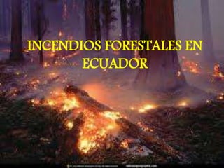 INCENDIOS FORESTALES EN
ECUADOR
 