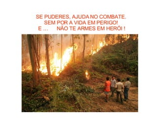 SE PUDERES, AJUDA NO COMBATE.   SEM POR A VIDA EM PERIGO!  E …  NÃO TE ARMES EM HERÓI ! 