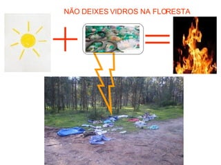 NÃO DEIXES VIDROS NA FLORESTA 