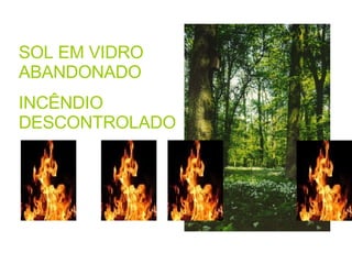 SOL EM VIDRO ABANDONADO INCÊNDIO DESCONTROLADO 