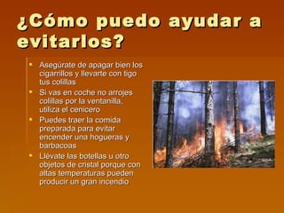 ¿Cómo puedo ayudar a evitarlos? Asegúrate de apagar bien los cigarrillos y llevarte con tigo tus colillas  Si vas en coche no arrojes colillas por la ventanilla, utiliza el cenicero Puedes traer la comida preparada para evitar encender una hogueras y barbacoas  Llévate las botellas u otro objetos de cristal porque con altas temperaturas pueden producir un gran incendio 
