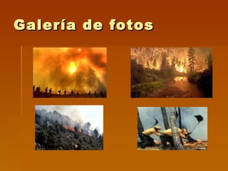 Galería de fotos 