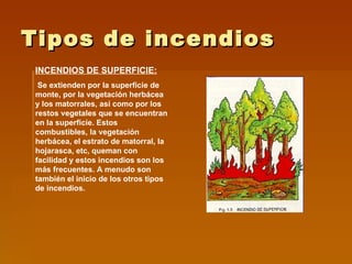 Tipos de incendios INCENDIOS DE SUPERFICIE: Se extienden por la superficie de monte, por la vegetación herbácea y los matorrales, así como por los restos vegetales que se encuentran en la superficie. Estos combustibles, la vegetación herbácea, el estrato de matorral, la hojarasca, etc, queman con facilidad y estos incendios son los más frecuentes. A menudo son también el inicio de los otros tipos de incendios. 