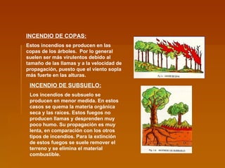 INCENDIO DE COPAS:   Estos incendios se producen en las copas de los árboles.  Por lo general suelen ser más virulentos debido al tamaño de las llamas y a la velocidad de propagación, puesto que el viento sopla más fuerte en las alturas.   INCENDIO DE SUBSUELO: Los incendios de subsuelo se producen en menor medida. En estos casos se quema la materia orgánica seca y las raíces. Estos fuegos no producen llamas y desprenden muy poco humo. Su propagación es muy lenta, en comparación con los otros tipos de incendios. Para la extinción de estos fuegos se suele remover el terreno y se elimina el material combustible.  