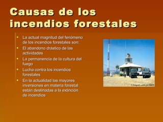 Causas de los incendios forestales La actual magnitud del fenómeno de los incendios forestales son: El abandono drástico de las actividades La permanencia de la cultura del fuego  Lucha contra los incendios forestales  En la actualidad las mayores inversiones en materia forestal están destinadas a la extinción de incendios 