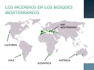 CALIFORNIA
CHILE
MAR
MEDITERRÁNEO
AUSTRALIA
SUDÁFRICA
 