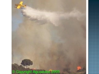 Incendios PresentacióN