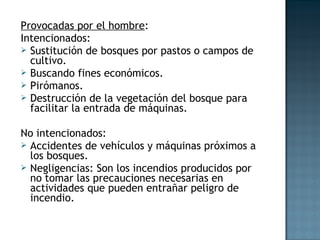 Provocadas por el hombre:
Intencionados:
 Sustitución de bosques por pastos o campos de
cultivo.
 Buscando fines económicos.
 Pirómanos.
 Destrucción de la vegetación del bosque para
facilitar la entrada de máquinas.
No intencionados:
 Accidentes de vehículos y máquinas próximos a
los bosques.
 Negligencias: Son los incendios producidos por
no tomar las precauciones necesarias en
actividades que pueden entrañar peligro de
incendio.
 