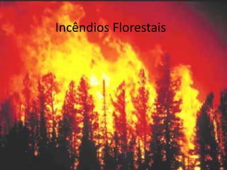Incêndios Florestais 