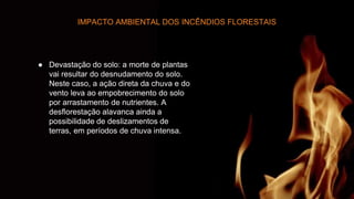 IMPACTO AMBIENTAL DOS INCÊNDIOS FLORESTAIS
● Devastação do solo: a morte de plantas
vai resultar do desnudamento do solo.
Neste caso, a ação direta da chuva e do
vento leva ao empobrecimento do solo
por arrastamento de nutrientes. A
desflorestação alavanca ainda a
possibilidade de deslizamentos de
terras, em períodos de chuva intensa.
 
