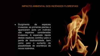 ● Surgimento de espécies
invasoras: as primeiras plantas a
aparecerem após um incêndio
são espécies consideradas
invasoras. A expansão rápida
destas espécies contribui para a
perda de biodiversidade, bem
como para o aumento da
possibilidade de ocorrência de
novos incêndios.
IMPACTO AMBIENTAL DOS INCÊNDIOS FLORESTAIS
 