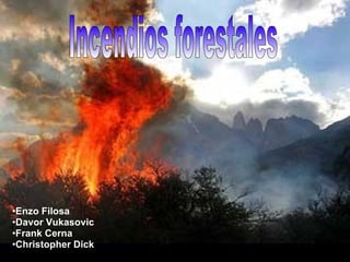 [object Object],[object Object],[object Object],[object Object],Incendios forestales 