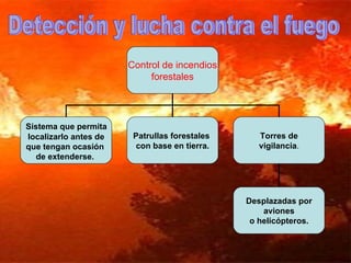 Detección y lucha contra el fuego  Control de incendios  forestales Sistema que permita  localizarlo antes de que tengan ocasión  de extenderse.   Patrullas forestales  con base en tierra. Torres de vigilancia . Desplazadas por aviones  o helicópteros. 