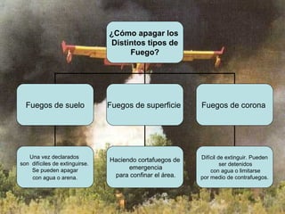 ¿Cómo apagar los  Distintos tipos de Fuego? Fuegos de suelo Fuegos de superficie   Fuegos de corona   Una vez declarados  son  difíciles de extinguirse.  Se pueden apagar con agua o arena.   Haciendo cortafuegos de emergencia para confinar el área. Difícil de extinguir. Pueden ser detenidos con agua o limitarse por medio de contrafuegos.  