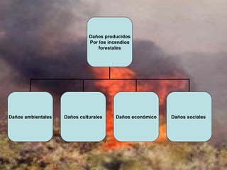 Daños producidos Por los incendios forestales Daños ambientales Daños culturales Daños económico Daños sociales  