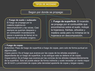 TIPOS DE INCENDIOSegún por donde se propaga:1. Fuego de suelo o subsuelo: El fuego se propaga por la materia orgánica en descomposición y las raíces. Casi siempre se queman despacio y en combustión incandescente (poca o ausencia de llama) al no disponer de suficiente oxígeno.2. Fuego de superficie: El incendio se propaga por el combustible que encontramos sobre el suelo, incluye la hojarasca, hierbas, arbustos y madera caída pero no inmersa en la hojarasca en descomposición.3. Fuego de copas: Antorcheo: Paso de fuego de superficie a fuego de copas, pero solo de forma puntual en algunos pies.Copas pasivo: Es el fuego que avanza por las copas de los árboles acoplado y dependiente de un fuego de superficie, si se extingue este se detiene el de copas.Copas activo: Es el fuego que avanza por las coronas de los árboles independientemente de la superficie. Solo se puede atacar de forma indirecta y suele necesitar un viento mayor de 30 km/h y proximidad de copas (alta densidad aparente de copas y largas copas).