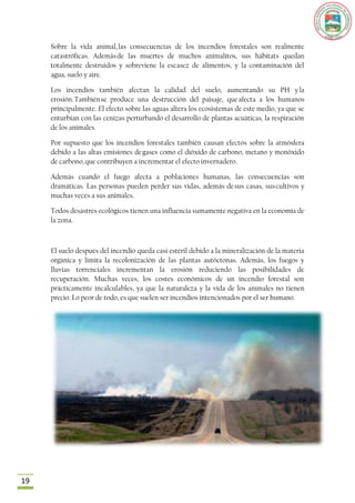 Sobre la vida animal, las consecuencias de los incendios forestales son realmente
     catastróficas. Además de las muertes de muchos animalitos, sus hábitats quedan
     totalmente destruidos y sobreviene la escasez de alimentos, y la contaminación del
     agua, suelo y aire.

     Los incendios también afectan la calidad del suelo, aumentando su PH y la
     erosión. También se produce una destrucción del paisaje, que afecta a los humanos
     principalmente. El efecto sobre las aguas altera los ecosistemas de este medio, ya que se
     enturbian con las cenizas perturbando el desarrollo de plantas acuáticas, la respiración
     de los animales.

     Por supuesto que los incendios forestales también causan efectos sobre la atmósfera
     debido a las altas emisiones de gases como el dióxido de carbono, metano y monóxido
     de carbono, que contribuyen a incrementar el efecto invernadero.

     Además cuando el fuego afecta a poblaciones humanas, las consecuencias son
     dramáticas. Las personas pueden perder sus vidas, además de sus casas, sus cultivos y
     muchas veces a sus animales.

     Todos desastres ecológicos tienen una influencia sumamente negativa en la economía de
     la zona.



     El suelo después del incendio queda casi estéril debido a la mineralización de la materia
     orgánica y limita la recolonización de las plantas autóctonas. Además, los fuegos y
     lluvias torrenciales incrementan la erosión reduciendo las posibilidades de
     recuperación. Muchas veces, los costes económicos de un incendio forestal son
     prácticamente incalculables, ya que la naturaleza y la vida de los animales no tienen
     precio. Lo peor de todo, es que suelen ser incendios intencionados por el ser humano.




19
 