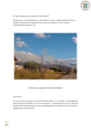 ¿A que llamamos Incendio de Interface?
    Llamamos así a los Incendios que se desarrollan en áreas contiguas urbanas rurales; o
    donde se entremezcla la vegetación con estructuras edilicias, como viviendas,
    establecimientos agrícolas, etc.




                        ¿Cómo se originan los Incendios?


    CAUSAS
    Las causas que provocan un incendio forestal pueden ser naturales o antropogénicas
    (provocadas por el hombre). Las causas naturales a excepción de los rayos- se dan con
    mucha menos frecuencia que las causas antropogénicas que pueden ser por accidentes,
    negligencias o intencionados.




5
 