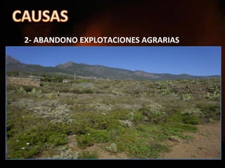 2- ABANDONO EXPLOTACIONES AGRARIAS
 