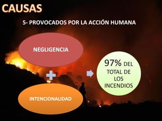 5- PROVOCADOS POR LA ACCIÓN HUMANA
 