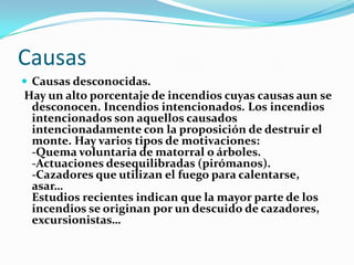 Causas
 Causas desconocidas.
Hay un alto porcentaje de incendios cuyas causas aun se
 desconocen. Incendios intencionados. Los incendios
 intencionados son aquellos causados
 intencionadamente con la proposición de destruir el
 monte. Hay varios tipos de motivaciones:
 -Quema voluntaria de matorral o árboles.
 -Actuaciones desequilibradas (pirómanos).
 -Cazadores que utilizan el fuego para calentarse,
 asar…
 Estudios recientes indican que la mayor parte de los
 incendios se originan por un descuido de cazadores,
 excursionistas…
 