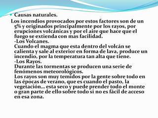  Causas naturales.
Los incendios provocados por estos factores son de un
 5% y originados principalmente por los rayos, por
 erupciones volcánicas y por el aire que hace que el
 fuego se extienda con mas facilidad.
 -Los Volcanes.
 Cuando el magma que esta dentro del volcán se
 calienta y sale al exterior en forma de lava, produce un
 incendio, por la temperatura tan alta que tiene.
 -Los Rayos.
 Durante las tormentas se producen una serie de
 fenómenos meteorológicos.
 Los rayos son muy temidos por la gente sobre todo en
 las épocas de verano, que es cuando el pasto, la
 vegetación… esta seco y puede prender todo el monte
 o gran parte de ello sobre todo si no es fácil de acceso
 en esa zona.
 