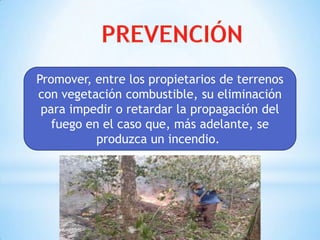 Promover, entre los propietarios de terrenos
con vegetación combustible, su eliminación
para impedir o retardar la propagación del
fuego en el caso que, más adelante, se
produzca un incendio.
 
