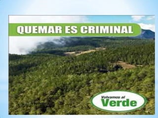 Incendios forestales 