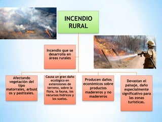 INCENDIO
RURAL
Afectando
vegetación del
tipo
matorrales, arbust
os y pastizales.
Causa un gran daño
ecológico en
extensiones de
terreno, sobre la
flora, la fauna, los
recursos hídricos y
los suelos.
Producen daños
económicos sobre
productos
madereros y no
madereros
Devastan el
paisaje, daño
especialmente
significativo para
las zonas
turísticas.
Incendio que se
desarrolla en
áreas rurales
 