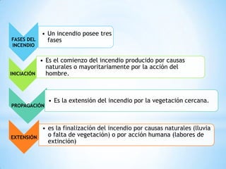 FASES DEL
INCENDIO
• Un incendio posee tres
fases
INICIACIÓN
• Es el comienzo del incendio producido por causas
naturales o mayoritariamente por la acción del
hombre.
PROPAGACIÓN
• Es la extensión del incendio por la vegetación cercana.
EXTENSIÓN
• es la finalización del incendio por causas naturales (lluvia
o falta de vegetación) o por acción humana (labores de
extinción)
 