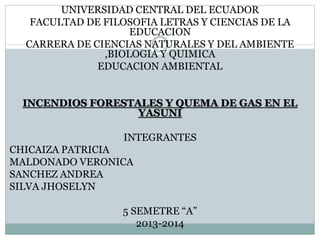 UNIVERSIDAD CENTRAL DEL ECUADOR
FACULTAD DE FILOSOFIA LETRAS Y CIENCIAS DE LA
EDUCACION
CARRERA DE CIENCIAS NATURALES Y DEL AMBIENTE
,BIOLOGIA Y QUIMICA
EDUCACION AMBIENTAL
INCENDIOS FORESTALES Y QUEMA DE GAS EN EL
YASUNI
INTEGRANTES
CHICAIZA PATRICIA
MALDONADO VERONICA
SANCHEZ ANDREA
SILVA JHOSELYN
5 SEMETRE “A”
2013-2014
 