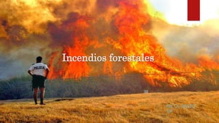 Incendios forestales
NICOL BASTO
10ª
 