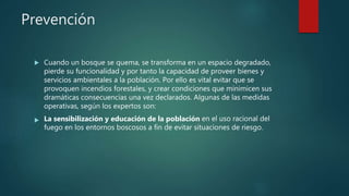 Prevención
 Cuando un bosque se quema, se transforma en un espacio degradado,
pierde su funcionalidad y por tanto la capacidad de proveer bienes y
servicios ambientales a la población. Por ello es vital evitar que se
provoquen incendios forestales, y crear condiciones que minimicen sus
dramáticas consecuencias una vez declarados. Algunas de las medidas
operativas, según los expertos son:
 La sensibilización y educación de la población en el uso racional del
fuego en los entornos boscosos a fin de evitar situaciones de riesgo.
 