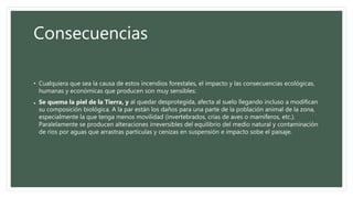 Consecuencias
• Cualquiera que sea la causa de estos incendios forestales, el impacto y las consecuencias ecológicas,
humanas y económicas que producen son muy sensibles:
• Se quema la piel de la Tierra, y al quedar desprotegida, afecta al suelo llegando incluso a modifican
su composición biológica. A la par están los daños para una parte de la población animal de la zona,
especialmente la que tenga menos movilidad (invertebrados, crías de aves o mamíferos, etc.).
Paralelamente se producen alteraciones irreversibles del equilibrio del medio natural y contaminación
de ríos por aguas que arrastras partículas y cenizas en suspensión e impacto sobe el paisaje.
 