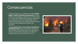 Consecuencias
• De igual manera, en ocasiones el fuego puede
llegar a dañar la piel de las personas e incluso
producir quemaduras y lesiones por intoxicación
y / muerte de aquellas personas que intervienen
en su extinción o se ven sorprendidos por el
efecto de las llamas, provocando perjuicios para
la salud de las poblaciones locales más
próximas.
• A esta destrucción, se le suma la de bienes e
infraestructuras (casas, almacenes, postes de
electricidad y comunicaciones, etc.), y todos los
recursos económicos asociados al valor del
bosque (tanto de uso como de no uso) .
 