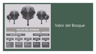 Valor del Bosque
 