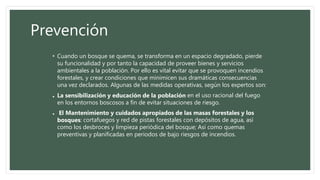 Prevención
• Cuando un bosque se quema, se transforma en un espacio degradado, pierde
su funcionalidad y por tanto la capacidad de proveer bienes y servicios
ambientales a la población. Por ello es vital evitar que se provoquen incendios
forestales, y crear condiciones que minimicen sus dramáticas consecuencias
una vez declarados. Algunas de las medidas operativas, según los expertos son:
• La sensibilización y educación de la población en el uso racional del fuego
en los entornos boscosos a fin de evitar situaciones de riesgo.
• El Mantenimiento y cuidados apropiados de las masas forestales y los
bosques: cortafuegos y red de pistas forestales con depósitos de agua, así
como los desbroces y limpieza periódica del bosque; Así como quemas
preventivas y planificadas en periodos de bajo riesgos de incendios.
 