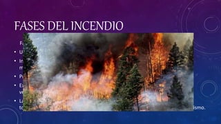 FASES DEL INCENDIO
Fase de propagación de un incendio forestal:
• Un incendio posee tres fases distintivas: iniciación, propagación y extinción:
• Iniciación: es el comienzo del incendio producido por causas naturales o
mayoritariamente por la acción humana.
• Propagación: es la extensión del incendio por la vegetación cercana.
• Extinción: es la finalización del incendio por causas naturales (lluvia o falta de
vegetación) o por acción humana (labores de extinción), es decir bomberos.
• La propagación del fuego dependerá de las condiciones atmosféricas, de la
topografía del lugar en el que se produzca y de la vegetación presente en el mismo.
 