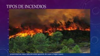 TIPOS DE INCENDIOS
• El estudio de los incendios forestales distingue entre distintos tipos de fuegos, lo cual resulta útil a la
hora de considerar las medidas más apropiadas de prevención y/o de extinción dado que pueden ser
diferentes para uno u otro caso.
• Según por dónde se propaga
• Fuego de suelo o subsuelo: El fuego se propaga por la materia orgánica en descomposición y las raíces.
Casi siempre se queman despacio y en combustión incandescente (poca llama o ausencia de ella) al no
disponer de suficiente oxígeno.
• Fuego de superficie: El incendio se propaga por el combustible que se encuentra sobre el suelo, como
hojarasca, hierbas, arbustos y madera caída pero no inmersa en la hojarasca en descomposición.
• Fuego de copas:
• Antorcheo o coronamiento: Paso de fuego de superficie a fuego de copas, pero solo de forma puntual
en algunos pies.
• Copas pasivo: Es el fuego que avanza por las copas de los árboles acoplado y dependiente de un fuego
de superficie; si se extingue este se detiene el de copas.
• Copas activo: Es el fuego que avanza por las coronas de los árboles independientemente de la
superficie. Solo se puede atacar de forma indirecta y suele necesitar un viento mayor de 30 km/h y
proximidad de copas (alta densidad aparente de copas y largas copas).
 