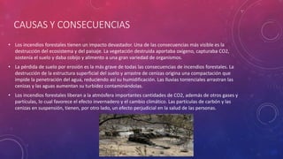 CAUSAS Y CONSECUENCIAS
• Los incendios forestales tienen un impacto devastador. Una de las consecuencias más visible es la
destrucción del ecosistema y del paisaje. La vegetación destruida aportaba oxígeno, capturaba CO2,
sostenía el suelo y daba cobijo y alimento a una gran variedad de organismos.
• La pérdida de suelo por erosión es la más grave de todas las consecuencias de incendios forestales. La
destrucción de la estructura superficial del suelo y arrastre de cenizas origina una compactación que
impide la penetración del agua, reduciendo así su humidificación. Las lluvias torrenciales arrastran las
cenizas y las aguas aumentan su turbidez contaminándolas.
• Los incendios forestales liberan a la atmósfera importantes cantidades de CO2, además de otros gases y
partículas, lo cual favorece el efecto invernadero y el cambio climático. Las partículas de carbón y las
cenizas en suspensión, tienen, por otro lado, un efecto perjudicial en la salud de las personas.
 
