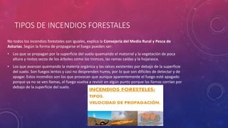 TIPOS DE INCENDIOS FORESTALES
No todos los incendios forestales son iguales, explica la Consejería del Medio Rural y Pesca de
Asturias. Según la forma de propagarse el fuego pueden ser:
• Los que se propagan por la superficie del suelo quemando el matorral y la vegetación de poca
altura y restos secos de los árboles como los troncos, las ramas caídas y la hojarasca.
• Los que avanzan quemando la materia orgánica y las raíces existentes por debajo de la superficie
del suelo. Son fuegos lentos y casi no desprenden humo, por lo que son difíciles de detectar y de
apagar. Estos incendios son los que provocan que aunque aparentemente el fuego esté apagado
porque ya no se ven llamas, el fuego vuelva a revivir en algún punto porque las llamas corrían por
debajo de la superficie del suelo.
 