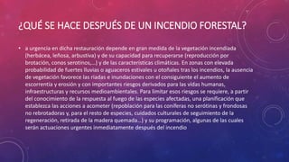¿QUÉ SE HACE DESPUÉS DE UN INCENDIO FORESTAL?
• a urgencia en dicha restauración depende en gran medida de la vegetación incendiada
(herbácea, leñosa, arbustiva) y de su capacidad para recuperarse (reproducción por
brotación, conos serotinos,…) y de las características climáticas. En zonas con elevada
probabilidad de fuertes lluvias o aguaceros estivales u otoñales tras los incendios, la ausencia
de vegetación favorece las riadas e inundaciones con el consiguiente el aumento de
escorrentía y erosión y con importantes riesgos derivados para las vidas humanas,
infraestructuras y recursos medioambientales. Para limitar esos riesgos se requiere, a partir
del conocimiento de la respuesta al fuego de las especies afectadas, una planificación que
establezca las acciones a acometer (repoblación para las coníferas no serótinas y frondosas
no rebrotadoras y, para el resto de especies, cuidados culturales de seguimiento de la
regeneración, retirada de la madera quemada…) y su programación, algunas de las cuales
serán actuaciones urgentes inmediatamente después del incendio
 