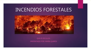 INCENDIOS FORESTALES
QUE ES DE ELLOS.
PRESENTADO POR: MARIA QUIROS
 